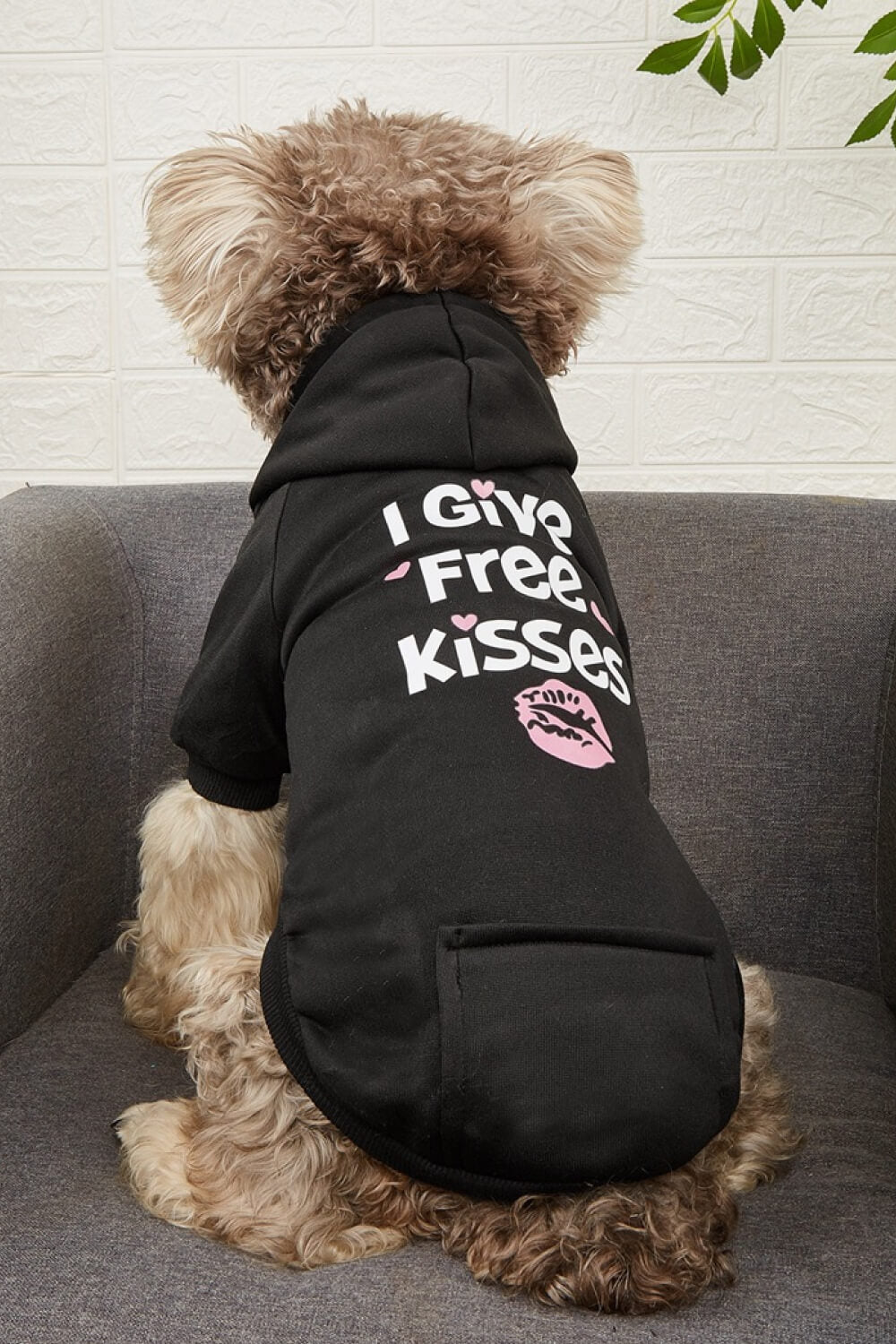 I GIVE FREE KISSES Pet Fleece Lined Hoodie