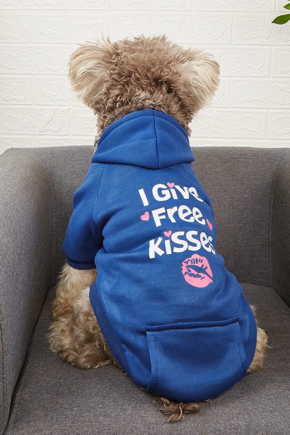 I GIVE FREE KISSES Pet Fleece Lined Hoodie