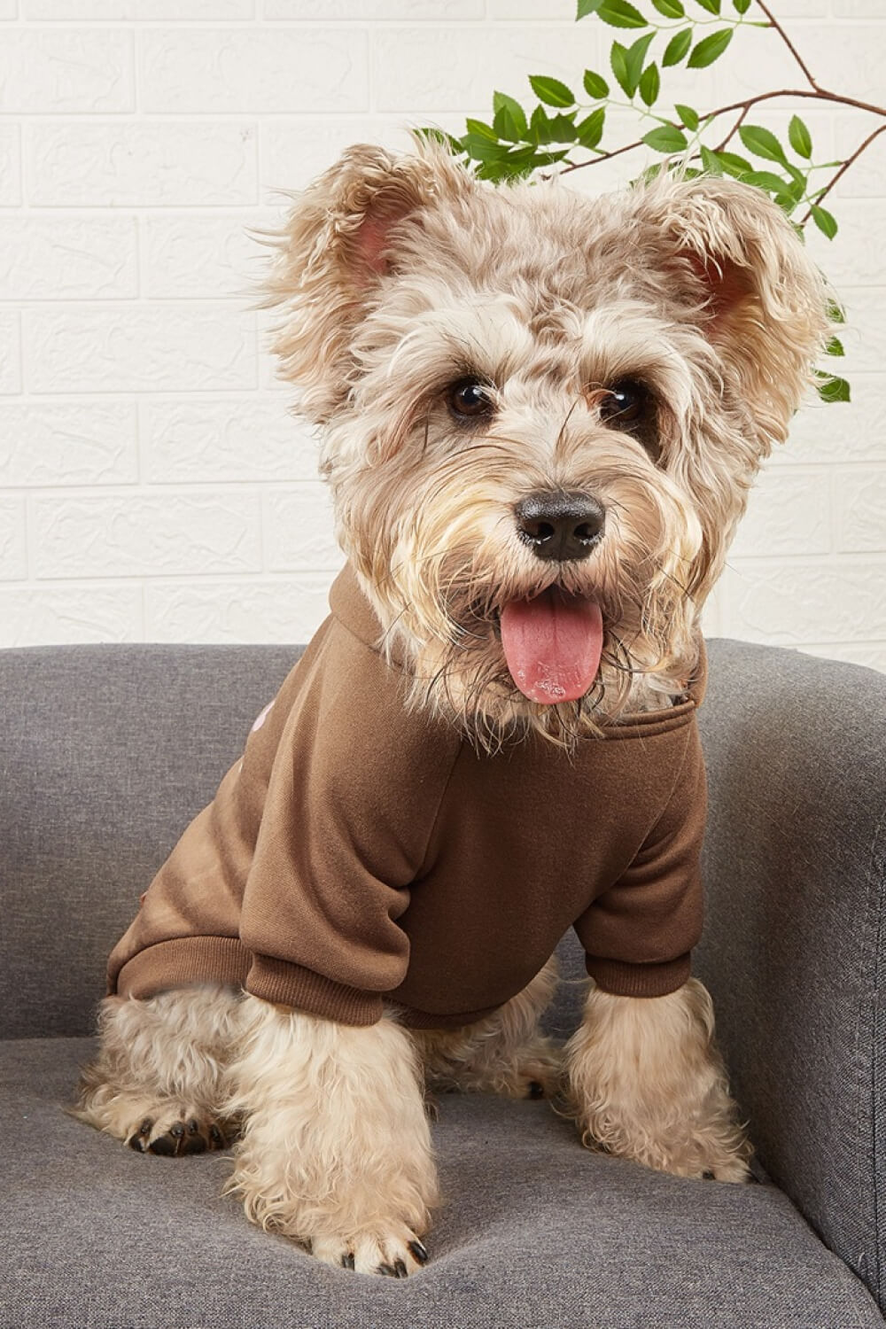 I GIVE FREE KISSES Pet Fleece Lined Hoodie