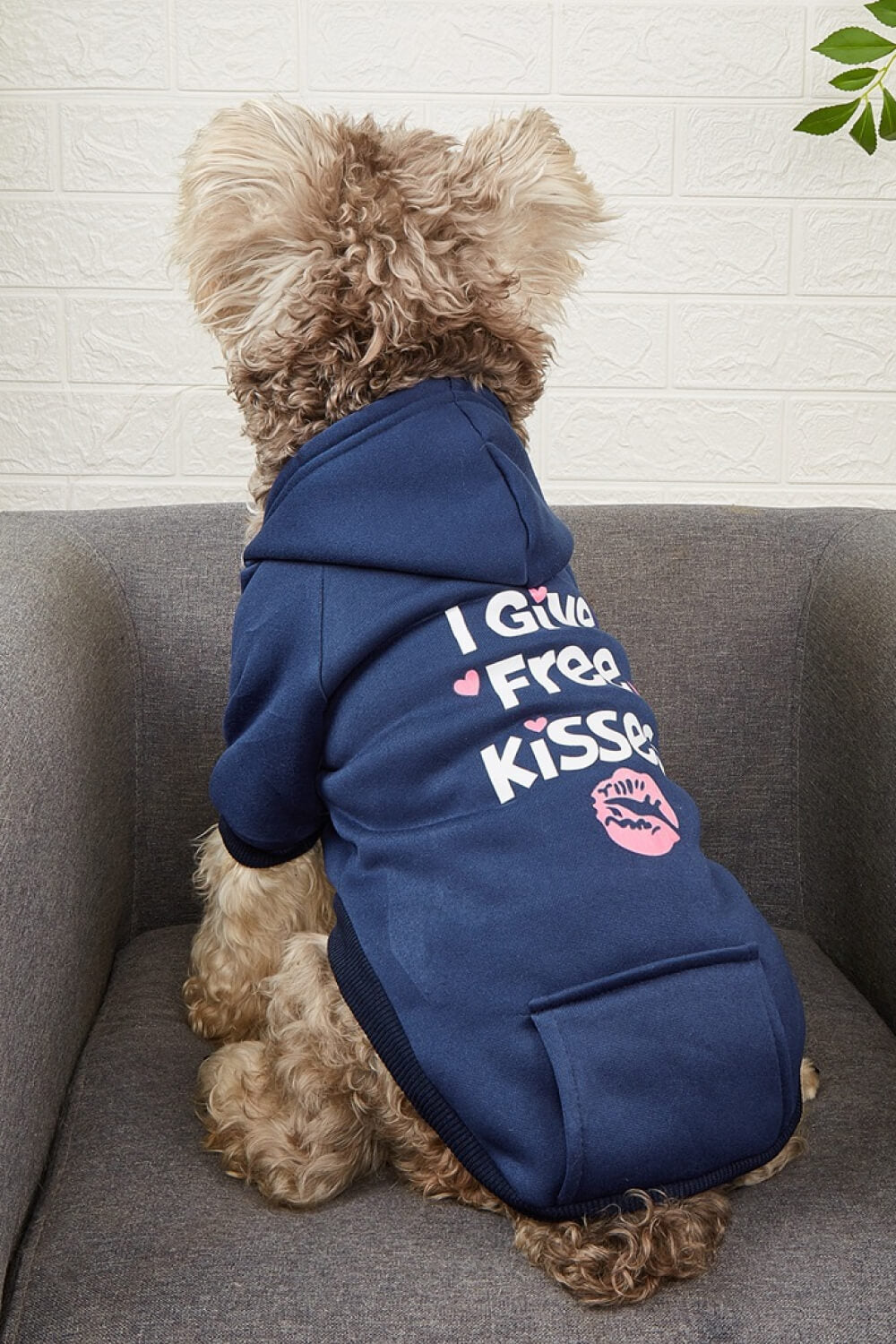 I GIVE FREE KISSES Pet Fleece Lined Hoodie