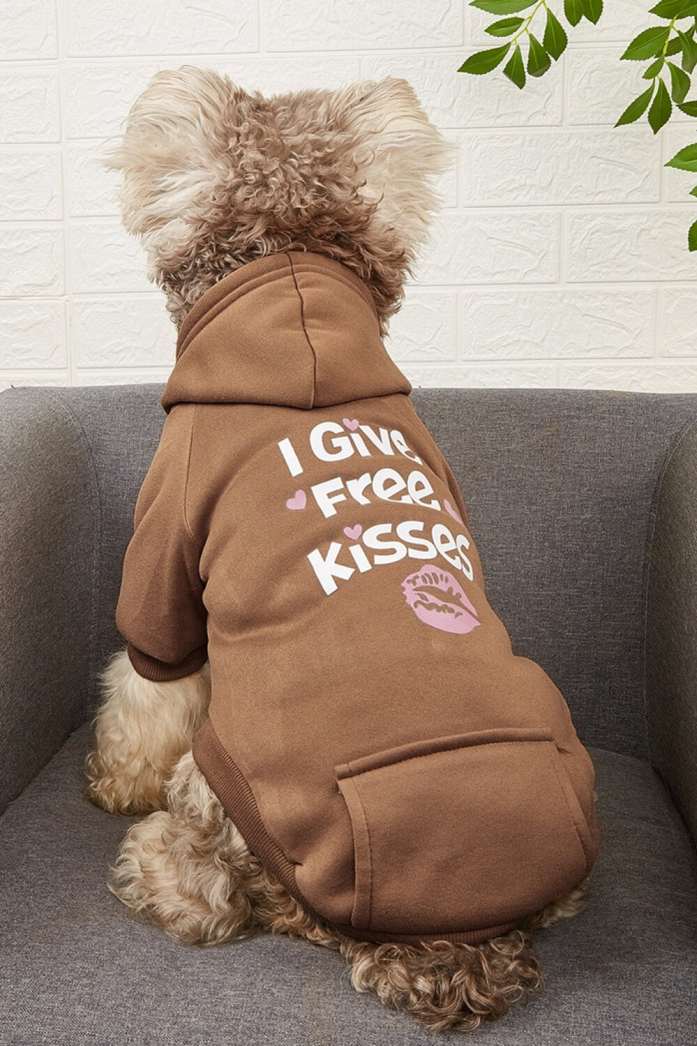 I GIVE FREE KISSES Pet Fleece Lined Hoodie