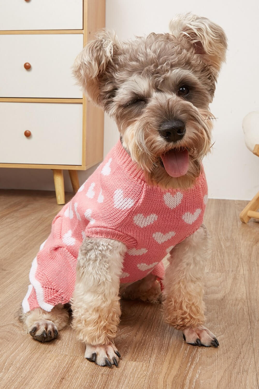 Heart Print Pet Layered Knit Dress