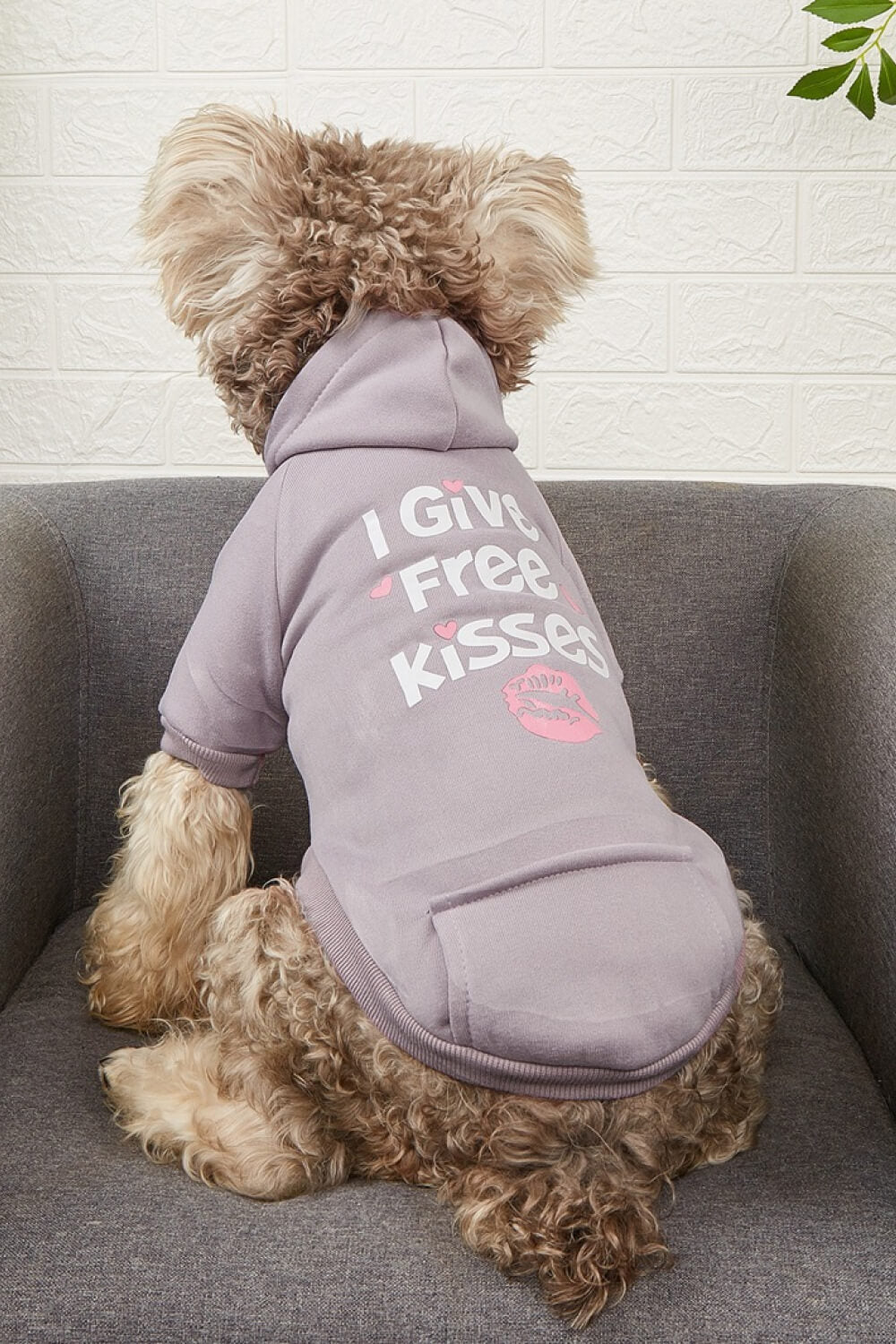 I GIVE FREE KISSES Pet Fleece Lined Hoodie